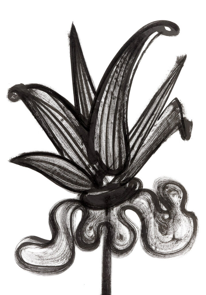 Karen Blixen's Flowers. Ink on paper. 100 x 70 cm. 39.4 x 27.6 in.